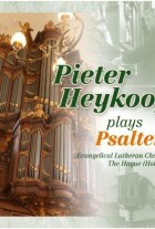 pieter-heykoop-plays-psalters-deel-3.jpg
