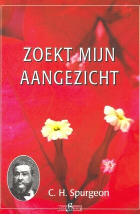 zoekt-mijn-aangezicht