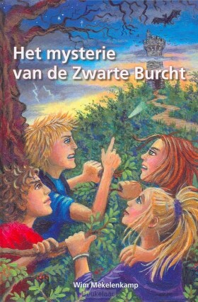 mysterie-van-de-zwarte-burcht