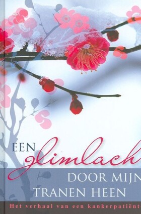 glimlach-door-mijn-tranen-heen