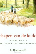 schapen-van-de-kudde
