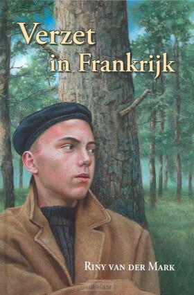 verzet-in-frankrijk