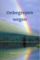 onbegrepen-wegen