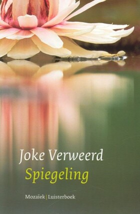 spiegeling-luisterboek