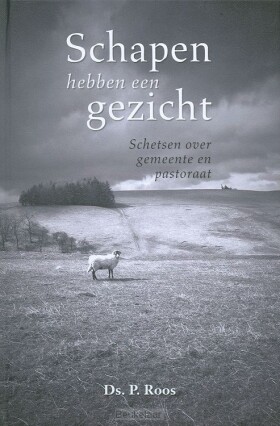schapen-hebben-een-gezicht