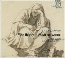 wie-liegt-die-stadt-so-wuste