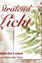 stralend-licht