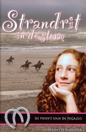 strandrit-in-de-storm