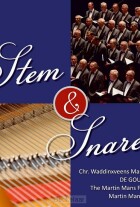 stem-snaren