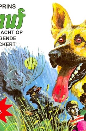 snuf-en-de-jacht-op-vliegende-volckert