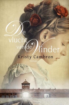 de-vlucht-van-de-vlinder