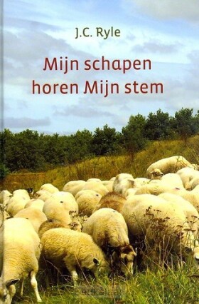 mijn-schapen-horen-mijn-stem