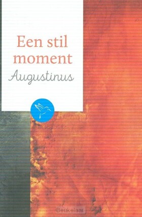 stil-moment-augustinus
