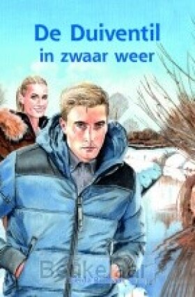 duiventil-in-zwaar-weer