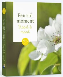stil-moment-troost-en-moed