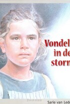 vondeling-in-de-storm