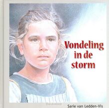 vondeling-in-de-storm