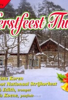kerstfeest-thuis-4