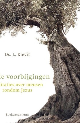 zij-die-voorbijgingen