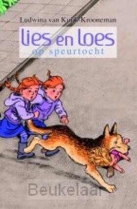 lies-en-loes-op-speurtocht