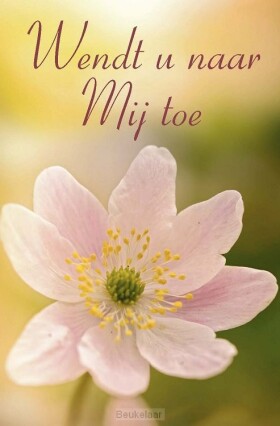 wendt-u-naar-mij-toe