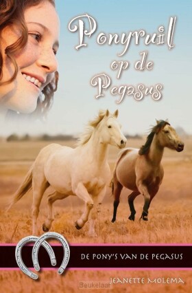 ponyruil-op-de-pegasus