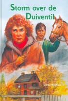 storm-over-de-duiventil