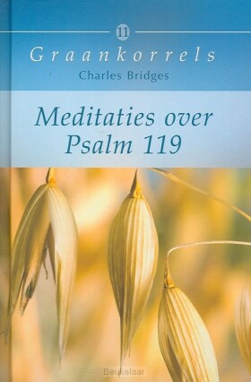meditaties-over-psalm-119