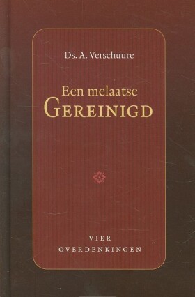 een-melaatse-gereinigd