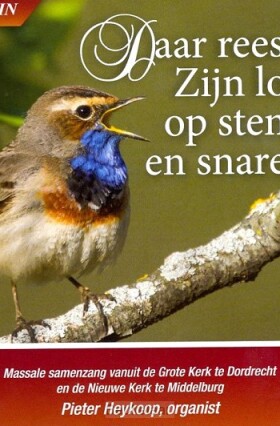 daar-rees-zijn-lof