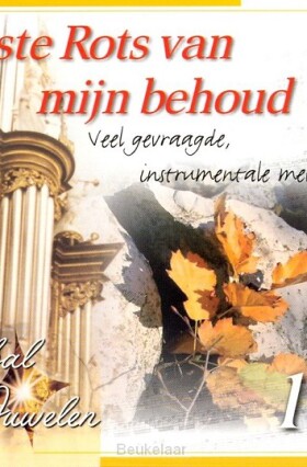 vaste-rots-van-mijn-behoud