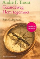 gaandeweg-hem-tegemoet-i