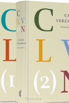 calvijn-verzameld-set-2-dln