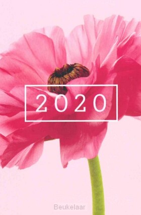 flora-medium-agenda