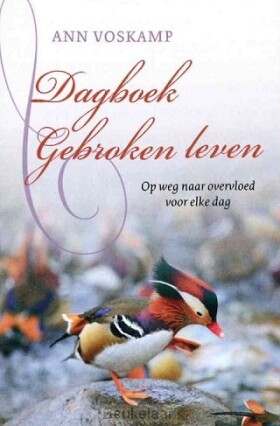 dagboek-gebroken-leven