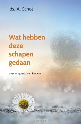 wat-hebben-deze-schapen-gedaan