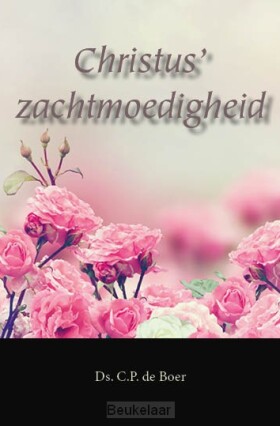 christus-zachtmoedigheid