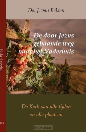 door-jezus-gebaande-weg