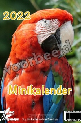 minikalender-2021-met-mooie-afbeeldingen