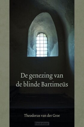 genezing-van-de-blinde-bartimeus