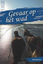 gevaar-op-het-wad