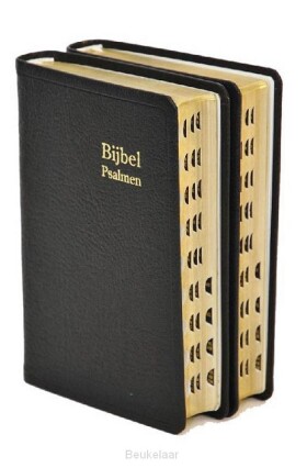 dameszakbijbel-d34r-ritmisch-leer-goudsn