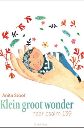 klein-groot-wonder