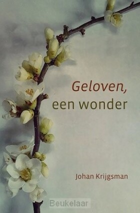 geloven-een-wonder