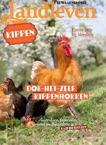 landleven-special-kippen