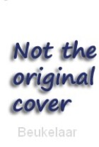 speurders-in-de-speeltuin-luisterboek