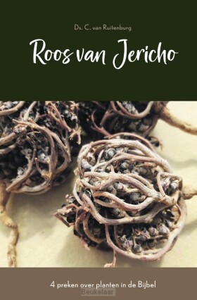 roos-van-jericho