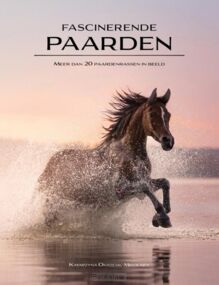 fascinerende-paarden