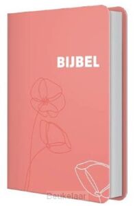 bijbel-hsv-vrouw-roze-12x18-cm