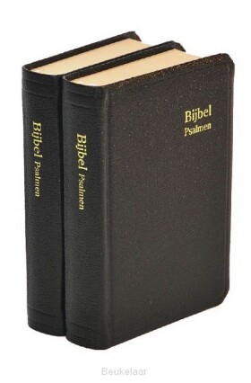 herenzakbijbel-h31d-kunstleer-kleursnee